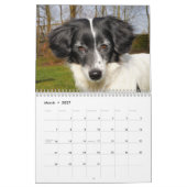 Der ultimative Hundekalender Kalender (Mär 2027)