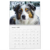 Der ultimative Hundekalender Kalender (Jan 2027)