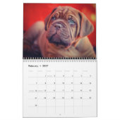 Der ultimative Hundekalender Kalender (Feb 2027)