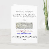 Der umgeschnallte Eisvogel (Alcedo alcyon) Karte (Rückseite)