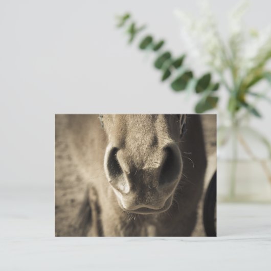 Der unglaublich essbare Herr Ed Postkarte (Stehend Vorderseite)