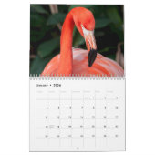 Der unglaubliche Flamingo-Kalender wählt Jahr Kalender (Jan 2026)