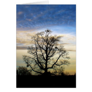 Der universelle Baum