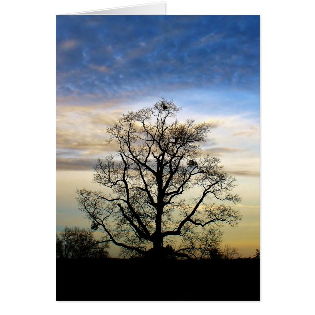 Der universelle Baum (Vorne)