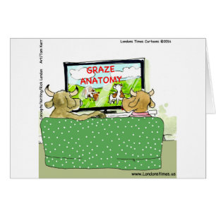 Der unterhaltsame Küchenwitz