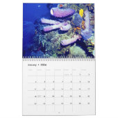 Der UNTERWASSERweltkalender Kalender (Jan 2026)