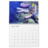 Der UNTERWASSERweltkalender Kalender (Jan 2027)