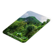 Der üppige Regenwald und der Yunque-Gipfel Magnet (Linke Seite)