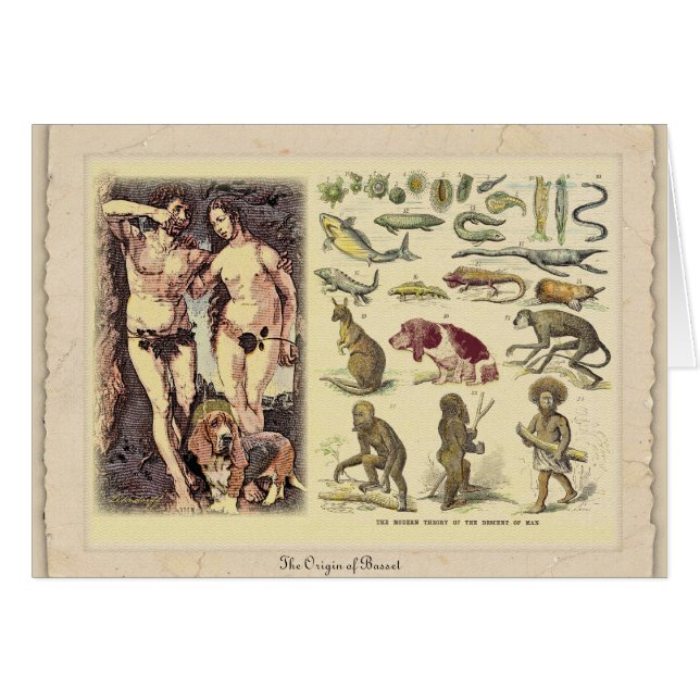 Der Ursprung des Dachshundes (Vorderseite (Horizontal))