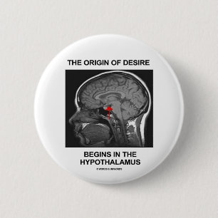 Der Ursprung des Wunsches fängt im Hypothalamus a Button