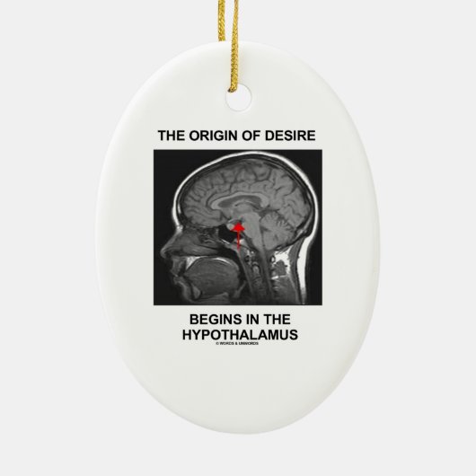 Der Ursprung des Wunsches fängt im Hypothalamus an Keramikornament (Hinten)