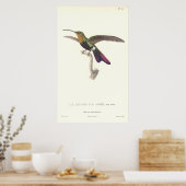 Der urulente Hummingvogel von Rene Primevere Lekti Poster (Küche)