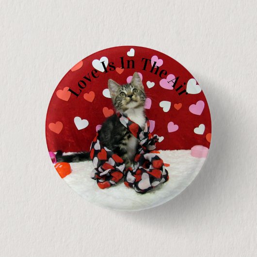 Der Valentinstag von Bandit - Niedliches Katzenbil Button (Vorderseite)