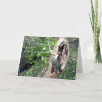 Der Vatertags-Geld-Baum