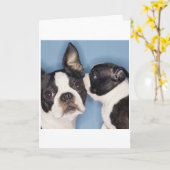 Der Vatertags-Karte Bostons Terrier Karte (Gelbe Blume)