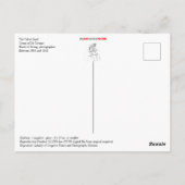 Der Velvet Kind Eis Truck Postkarte (Rückseite)