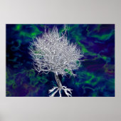 Der verbotene Baum des Lebens Poster (Vorne)