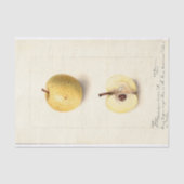 Der verlorene Apfel  Seidenpapier (Vorderseite)