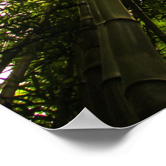 Der Verlust im Bambus Poster (Ecke)