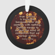 Der Verstand des Streits - Aikido-Friedenszitat