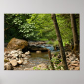 Der Versteck Poster (Vorne)