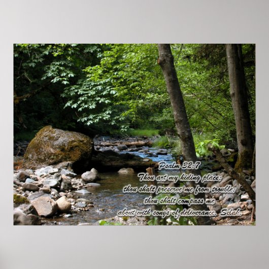 Der Versteck Poster (Vorne)