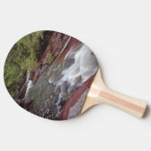 Der verstorbene Pferdekrebs im Nationalpark der Wa Tischtennis Schläger (Seitenansicht)