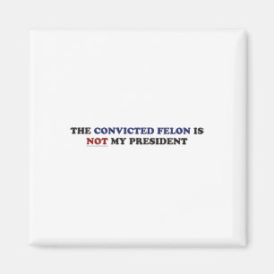 Der verurteilte Felon ist nicht mein Präsident Fun Magnet