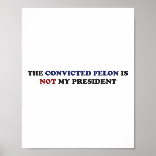 Der verurteilte Felon ist nicht mein Präsident Fun Poster