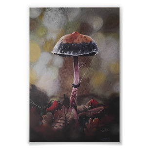 Der verwundete Pilz Mini Fotodruck