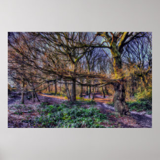 Der verzauberte Wald 1 Poster