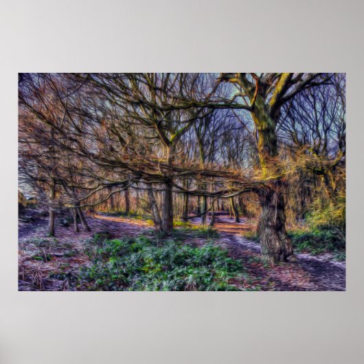 Der verzauberte Wald 1 Poster (Vorne)