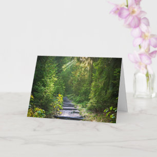 Der verzauberte Waldweg grün Karte