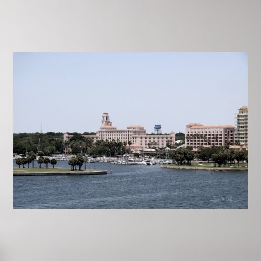 Der Vinoy Poster (Vorne)