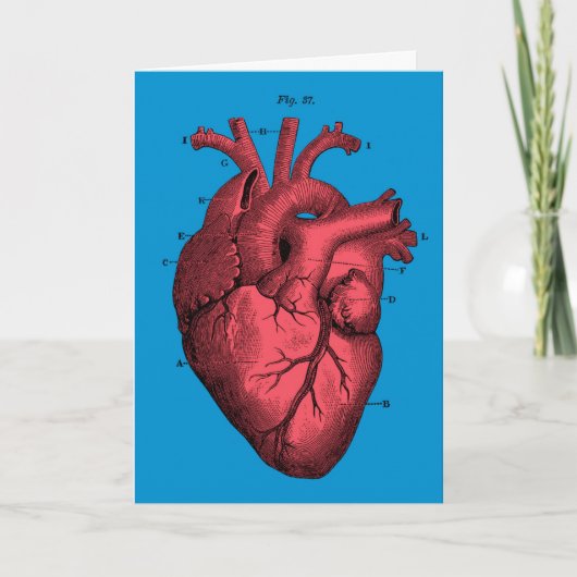 Der Vintage anatomische Tag Herzvalentines Feiertagskarte (Vorderseite)