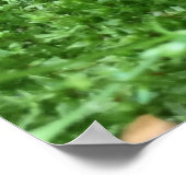 Der Vintage Garten Poster (Ecke)