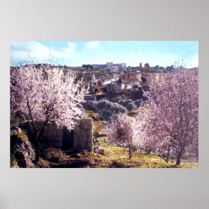 Der Vintage Ölberg Jerusalem Israel 1950 - 77 Poster