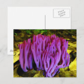 Der Violetkorallenfungus Clavaria Zollingeri Postkarte (Vorne/Hinten)
