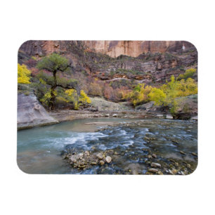 Der Virgin River im Herbst im Zion National Park Magnet