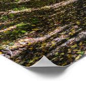 Der Virginia-Strampler Poster (Ecke)