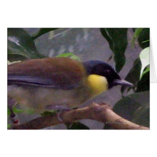 Der Vogel