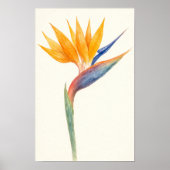 Der Vogel der Paradies Blume Poster (Vorne)
