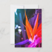 Der Vogel der paradiesischen Blume farbenfroh RSVP Karte (Rückseite)