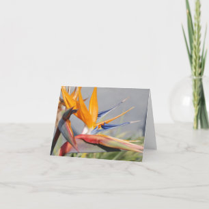 Der Vogel der Paradieskarte Feiertagskarte