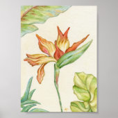 Der Vogel der Paradieskunst Print 12x18 Poster (Vorne)