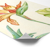 Der Vogel der Paradieskunst Print 12x18 Poster (Ecke)