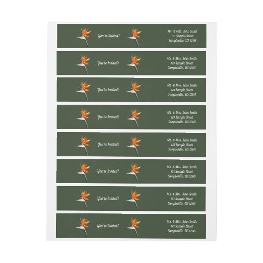 Der Vogel der tropischen Blume Orange (Bogen)