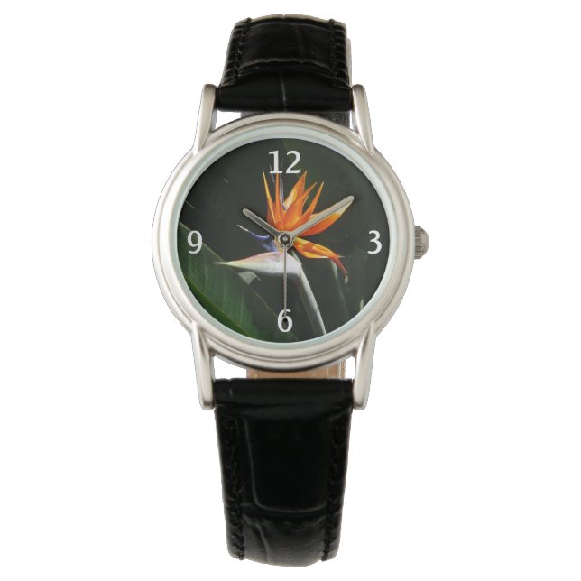 Der Vogel der tropischen Blume Orange Armbanduhr (Vorderseite)