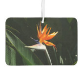 Der Vogel der tropischen Blume Orange Autolufterfrischer (Rückseite)