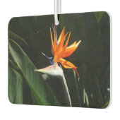 Der Vogel der tropischen Blume Orange Autolufterfrischer (Links)